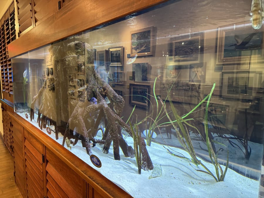 RumFish Grill – photo 3